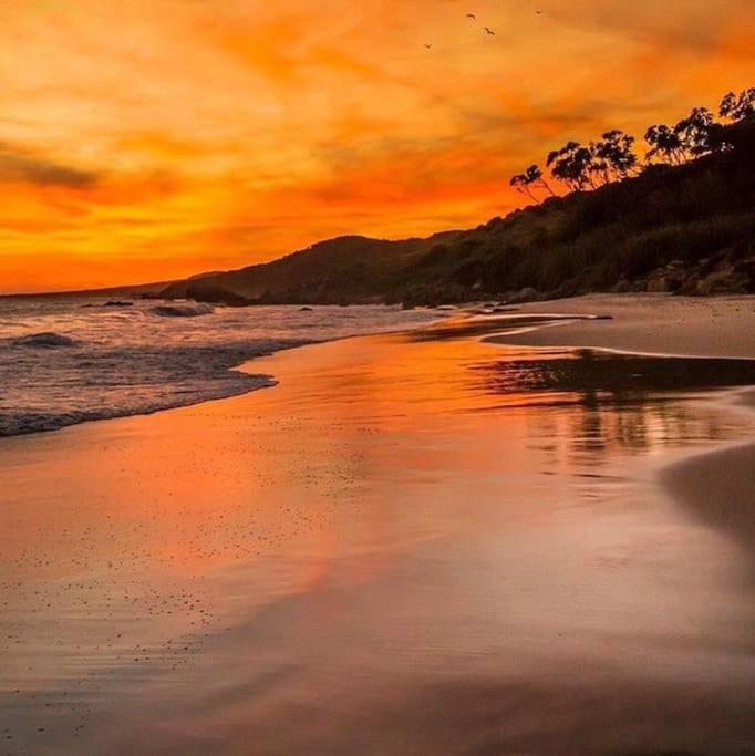 Casita Del Mar A Pie De Playa Apartment ตาริฟา ภายนอก รูปภาพ