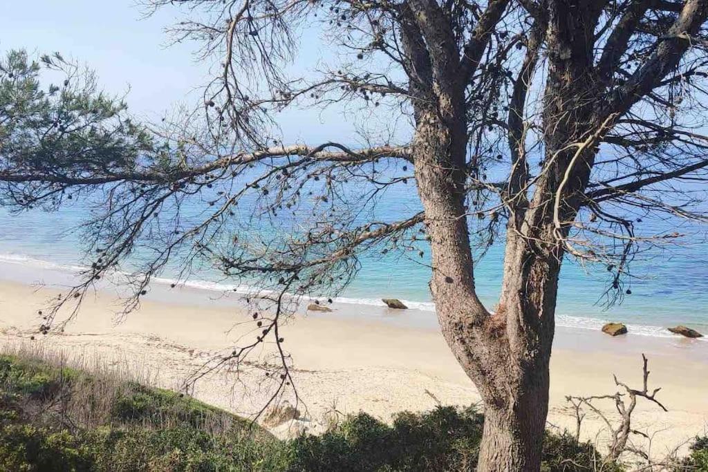Casita Del Mar A Pie De Playa Apartment ตาริฟา ภายนอก รูปภาพ